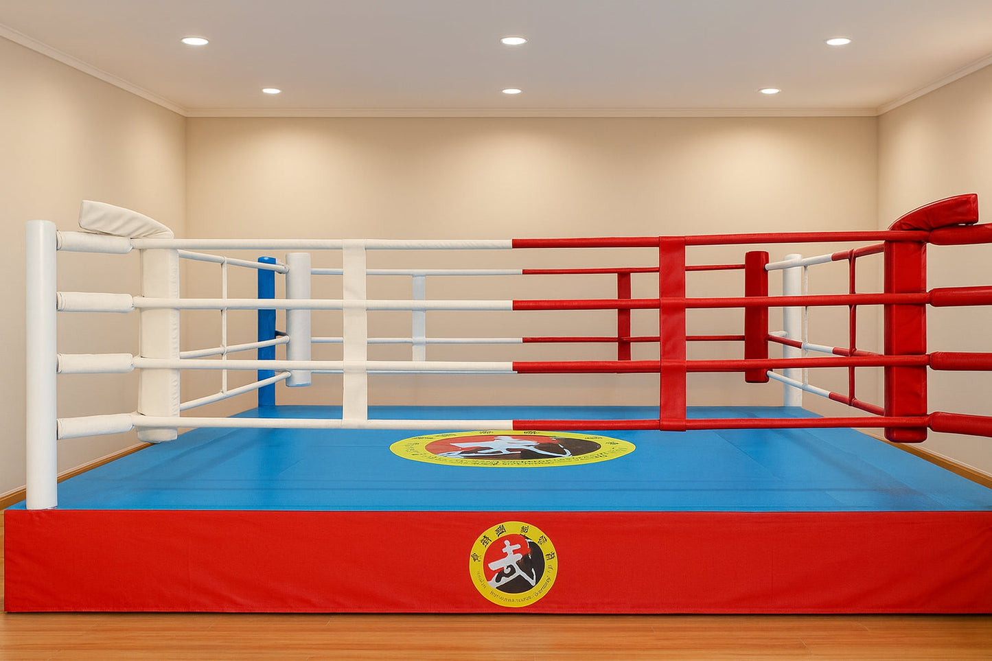 Boxing ring 6*6m