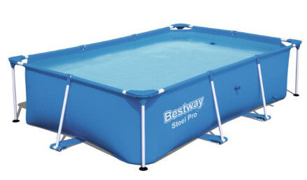 Bestway Swimming Pool