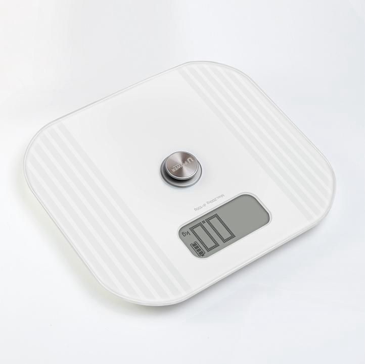 Weight and Fat Scale
