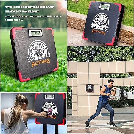 Digital Target Box