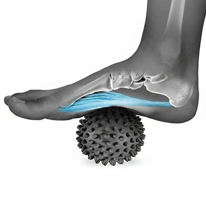 Illustration of a foot with a massage ball applying pressure to the sole.