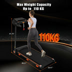 Treadmill w 9701
