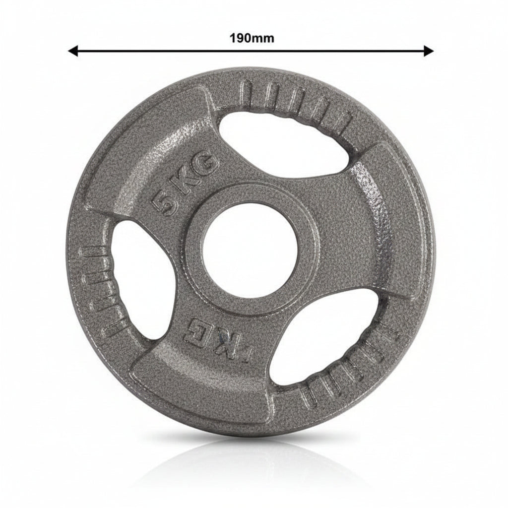 Cast iron weight plate shown on a white background with dimension callouts indicating 190mm diameter, 23mm rim thickness, and 51mm center hole.