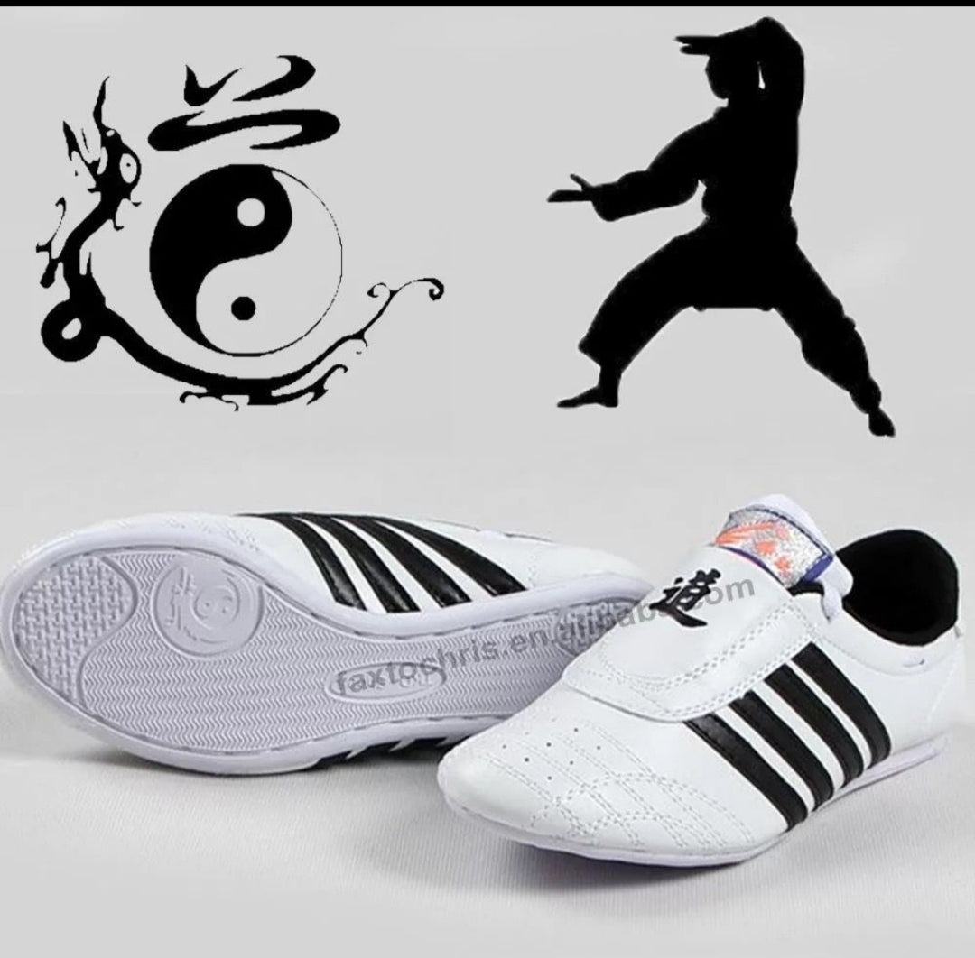 Taekwondo shoes