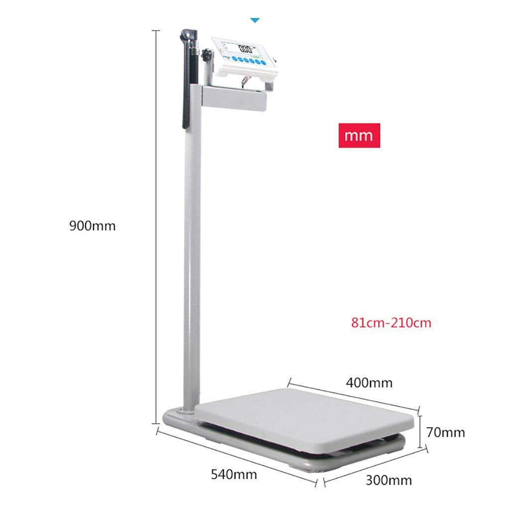 Electronic Club Scale